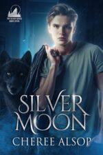 Silver Moon Silver Series Book