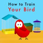 How to Train Your Bird