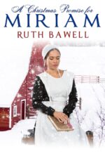 A Christmas Promise for Miriam: Amish Romance