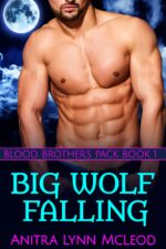 Big Wolf Falling: Gay Werewolf Shifter Romance Brothers Pack Book