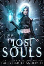 Lost Souls: a Reverse Harem Romance