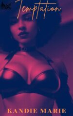 Temptation Tween the Sheets Book