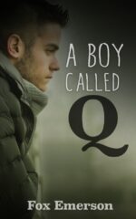 A Boy Called Q: a Secret Life of Torment