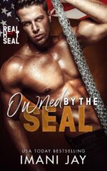 Owned by the Seal: a Short, Steamy, Instalove, Instalust, Grumpy Sunshine, Kinky Romance In
