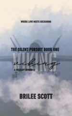 Viking Silent Pursuit Book
