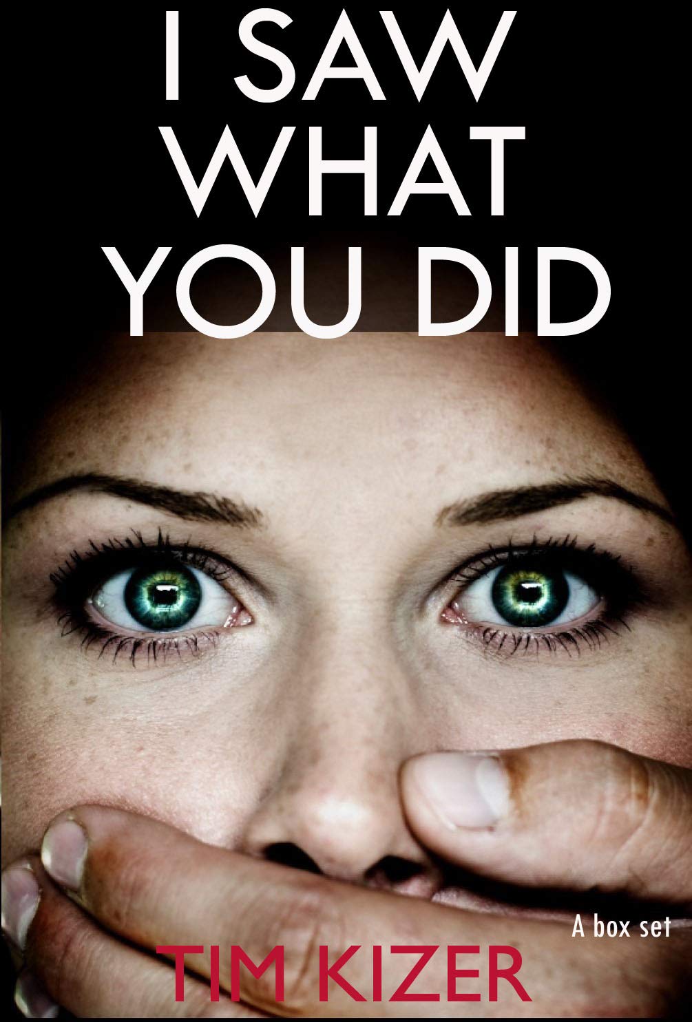 I Saw What You Did: She Discovered That Her Husband Is a Serial a Box Set