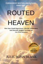 Routed to Heaven : How Near-death Experiences, Afterlife Testimonies and Heavenly Insights Can Help You Live With Intention Journey
