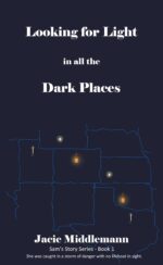 Looking for Light in All the Dark Places - Book 1: She Was Caught in a Storm of Danger With No Lifeboat in Sight. Story