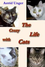 The Crazy Life With Cats