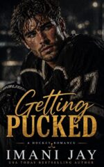 Getting Pucked: a Bwwm, Instalove, Curvy Girl, Grumpy Hero, Hockey Romance Stick