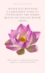 Water Lily Wonders : a Gardener's Guide to Cultivating the Subtle Beauty of Elegant Water Lilies
