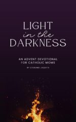 Light in the Darkness: an Advent Devotional for Catholic Moms