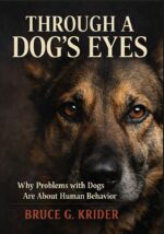 Through a Dog's Eyes: Why Problems With Dogs Are About Human Behavior Canine Construct Book