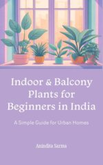 Indoor and Balcony Plants for Beginners in India: a Simple Guide for Urban Homes