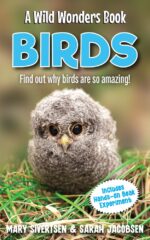 Birds: Why Birds Do What They Do Wonders Animal