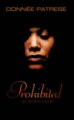 Prohibited: an Erotic Novel 2: Illicit Affairs Book