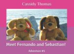 Meet Fernando and Sebastian! Adventures of Fernando and Sebastian Book