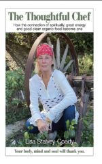 The Thoughtful Chef : How the Connection of Spirituality, Great Energy and Good Clean Organic Food Become One