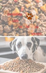 Pawrenting Guide for the New Pawrent Heartful Pawrent
