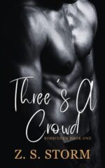 Three's a Crowd : Mmf Romance Book