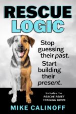 Rescue Logic: Stop Guessing Their Past. Start Building Their Present.
