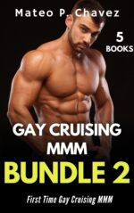 Gay Cruising Mmm Bundle 2: First Time Gay Cruising Mmm - Cruising Around the World