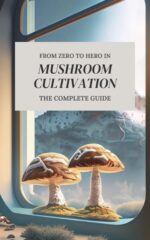 Rom Zero to Hero in Mushroom Cultivation – the Complete Guide