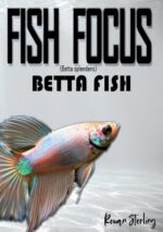 Fish Focus: Betta Fish Behaviour, Care, and Natural Habitat Guide