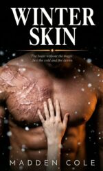 Winter Skin: a Dark Romance Novel
