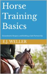 Horse Training Basics: Groundwork, Respect, and Building a Safe Partnership Riding and Care Series From Rvo