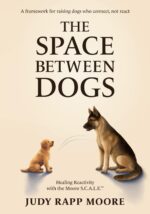 The Space Between Dogs: Healing Reactivity With the Moore S.c.a.l.e.™