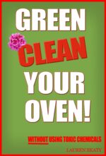 Green Clean Your Oven: 4 Easy Ways to Clean Your Oven Without Using Toxic Chemicals