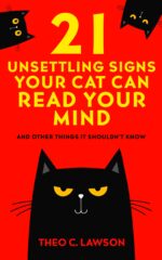 21 Unsettling Signs Your Cat Can Read Your Mind Shameless Housemates
