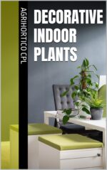 Decorative Indoor Plants