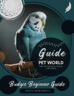 Budgie Beginner Guide: Better Pet Care Starts With Better Understanding