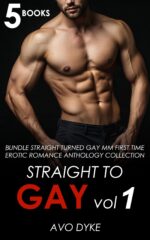 Straight to Gay Vol 1: Bundle Straight Turned Gay Mm First Time Erotic Romance Anthology Collection to Gay: Urban