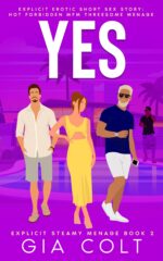 Yes: Explicit Erotic Short Sex Story: Hot Forbidden Mfm Threesome Menage Steamy Menage Book