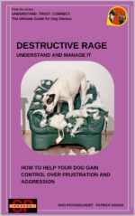 Destructive Rage Understand and Manage It: How to Help Your Dog Avoid Frustration and to Get a Grip on Aggression Trust. Connect. the Ultimate Guide for All Dog