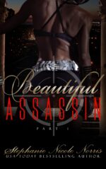 Beautiful Assassin Awaits Book