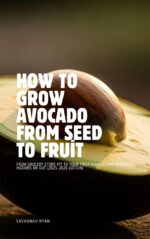How to Grow Avocado From Seed to Fruit: Complete Timeline – From Pit to First Homegrown Avocados 2025–2026 Edition Maha Kitchen Garden Series — by Savannah