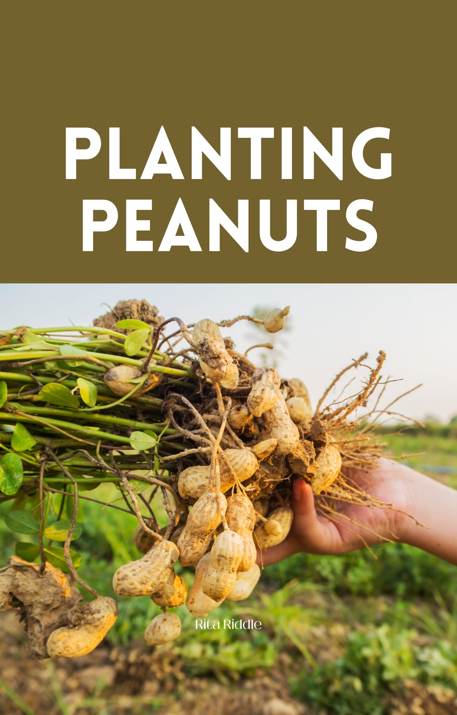 Planting Peanuts