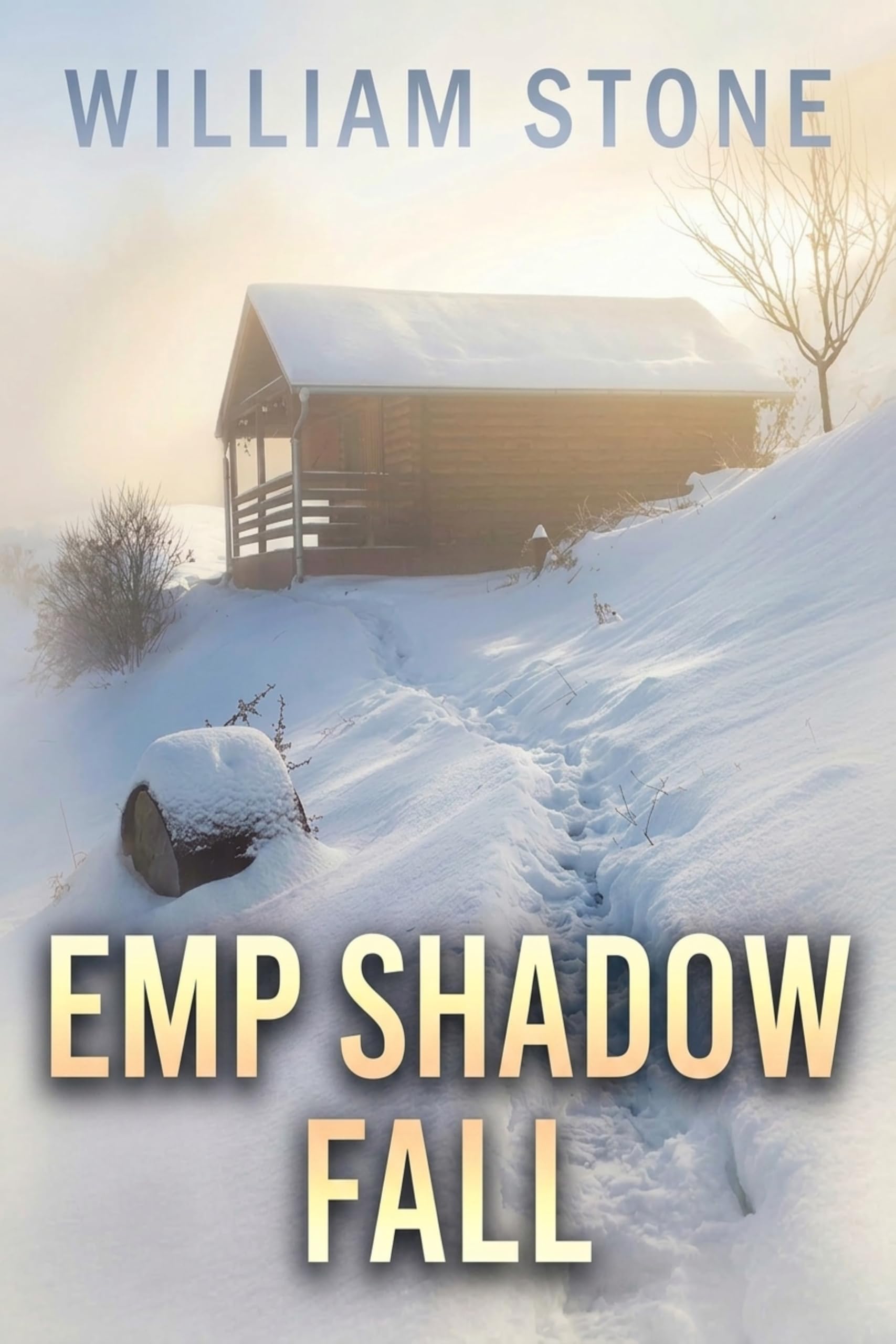 EMP Shadow Fall