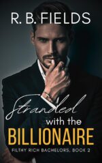 Stranded With the Billionaire Rich Bachelors, Book