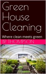 Green House Cleaning: Where Clean Meets Green