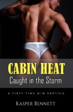 Cabin Heat: Caught in the Storm ― a First-time M/m Erotica Male Erotica Book Book