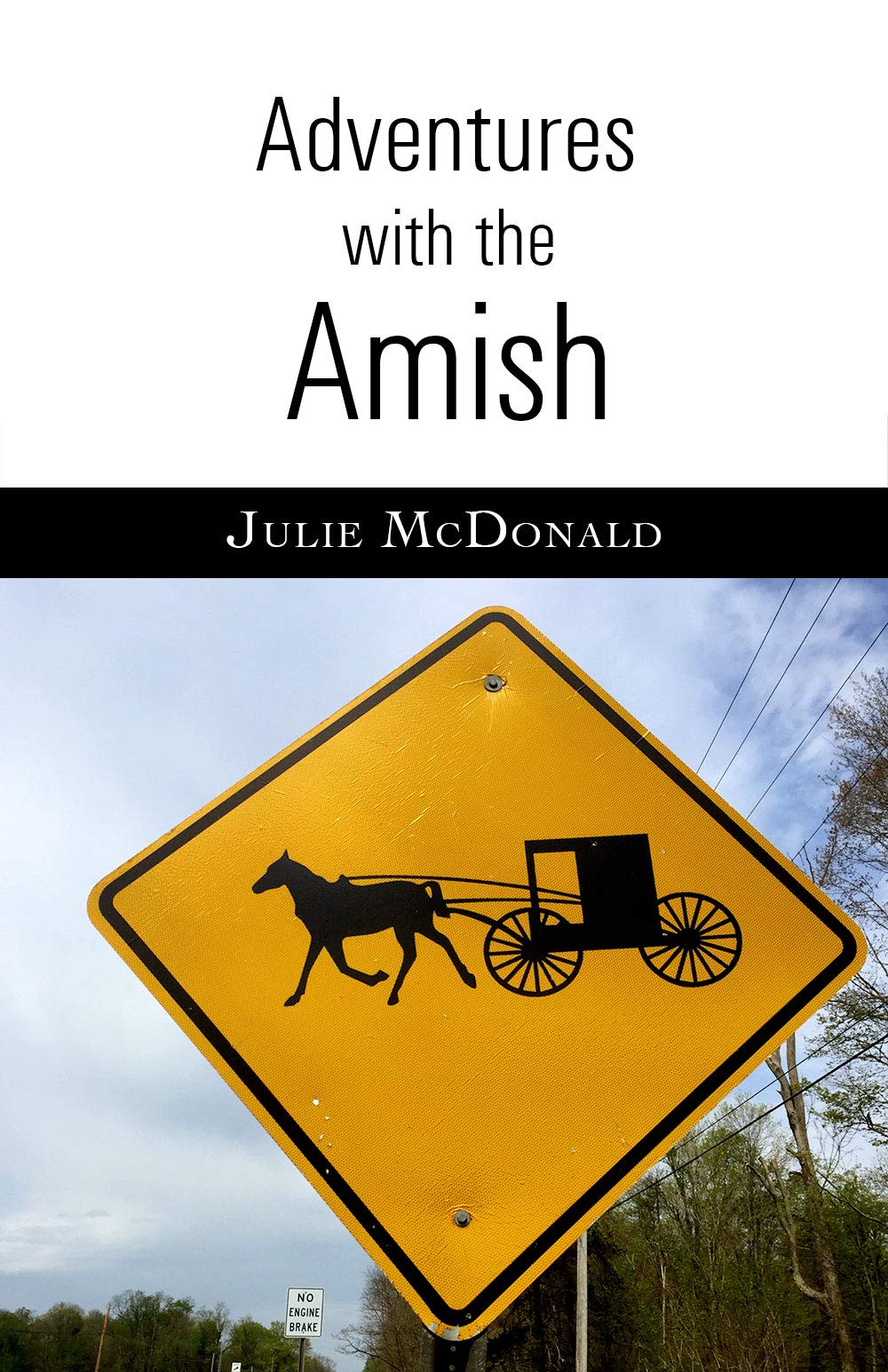 Adventures With the Amish History: Illinois, Indiana &