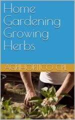 Home Gardening Growing Herbs