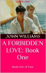 A Forbidden Love: Book One: 2nd Edition
