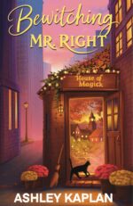 Bewitching Mr. Right Grimm Hollow Novel Book