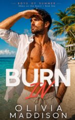 Burn In: Seals on the Beach--book One of Summer